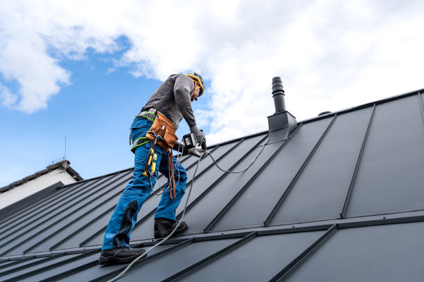 Best Roof Inspection  in Ramseur, NC